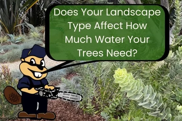 Does Your Landscape Type Affect How Much Water Your Trees Need?