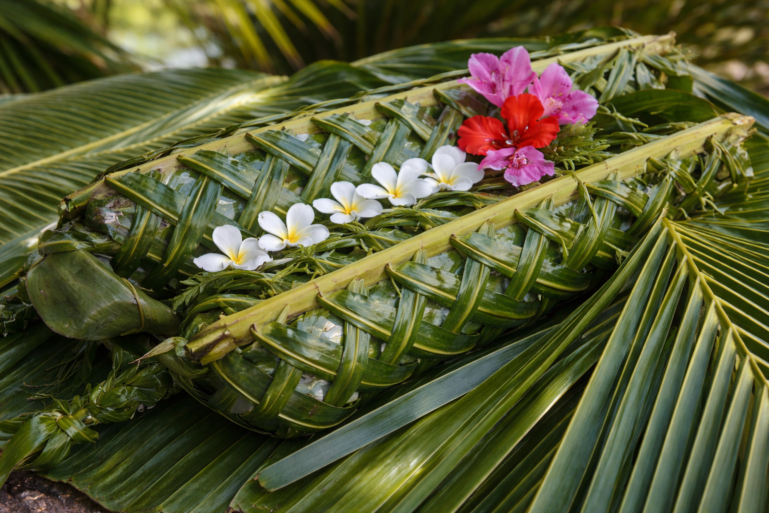 Decorative display of traditional lovo-style wrapped foods, artfully arranged to highlight cultural authenticity and natural presentation.