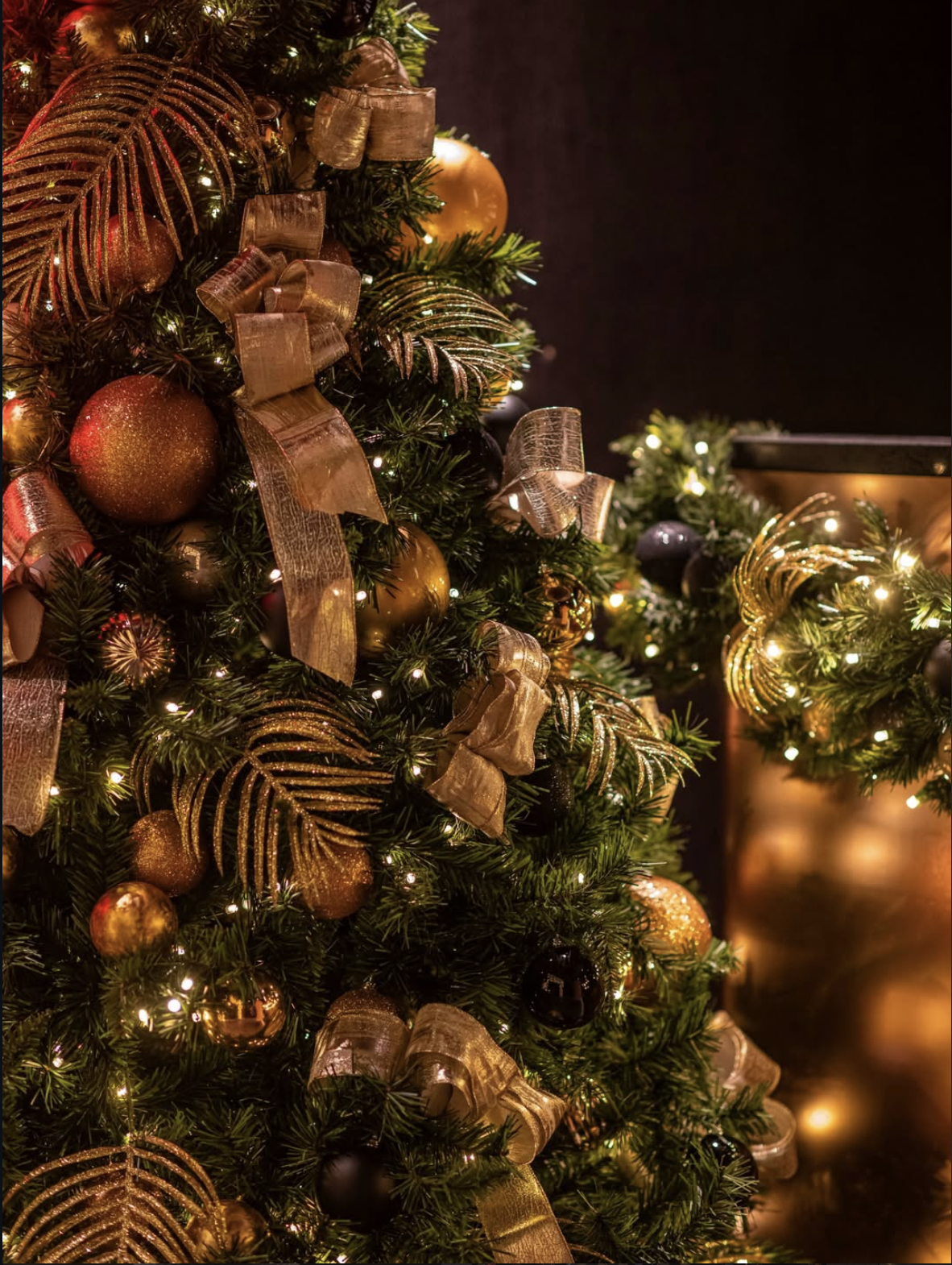 Close-up of a decorated Christmas tree with gold ribbons, ornaments, and string lights, with another decorated tree in the background