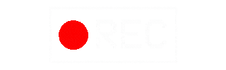 Red circle near the top of the image.