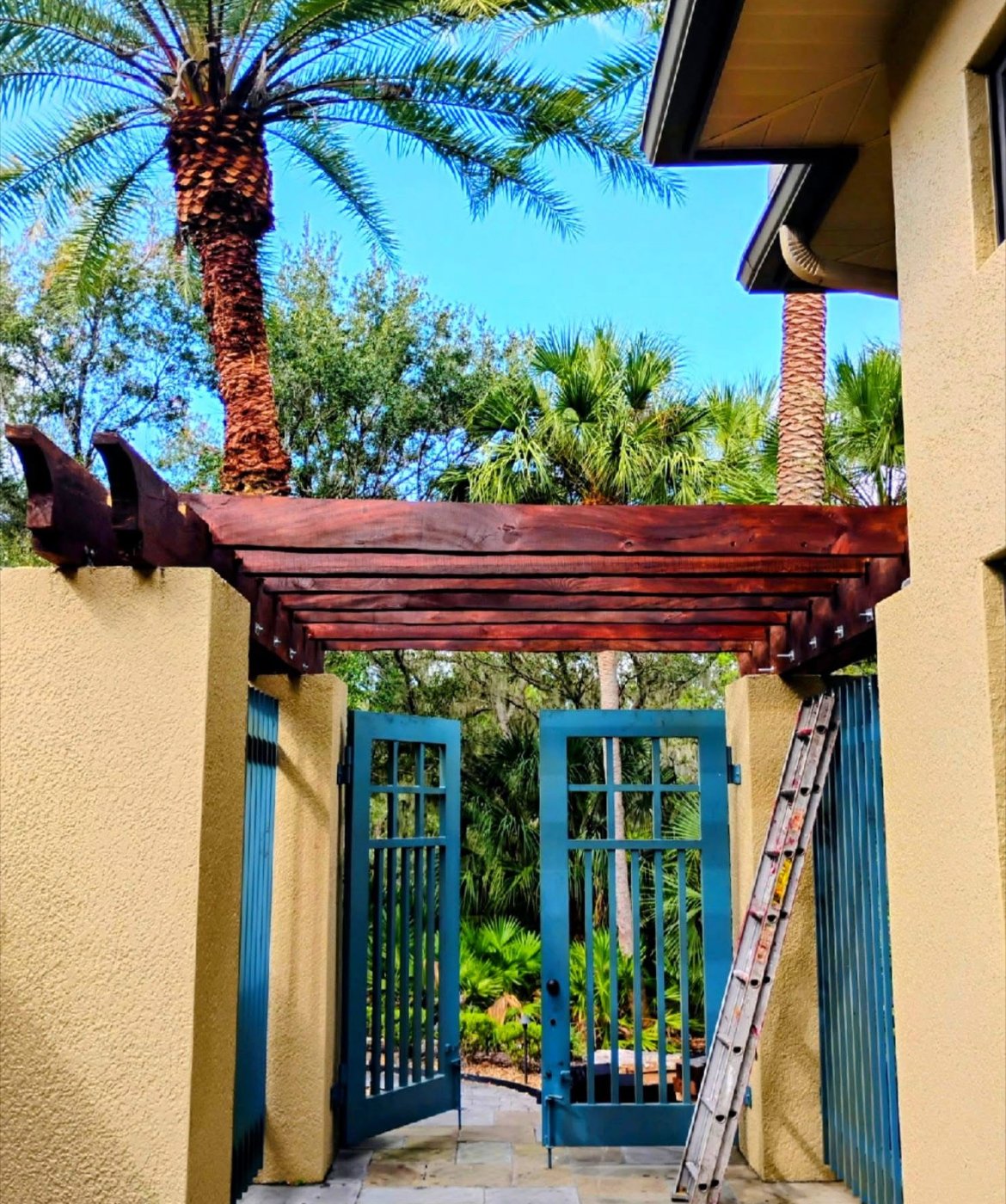 Open blue gates leading to a lush garden with tall palm trees under a clear blue sky. A wooden pergola is being constructed above the gate, supported by beige stucco walls, with a ladder leaning against the right wall.