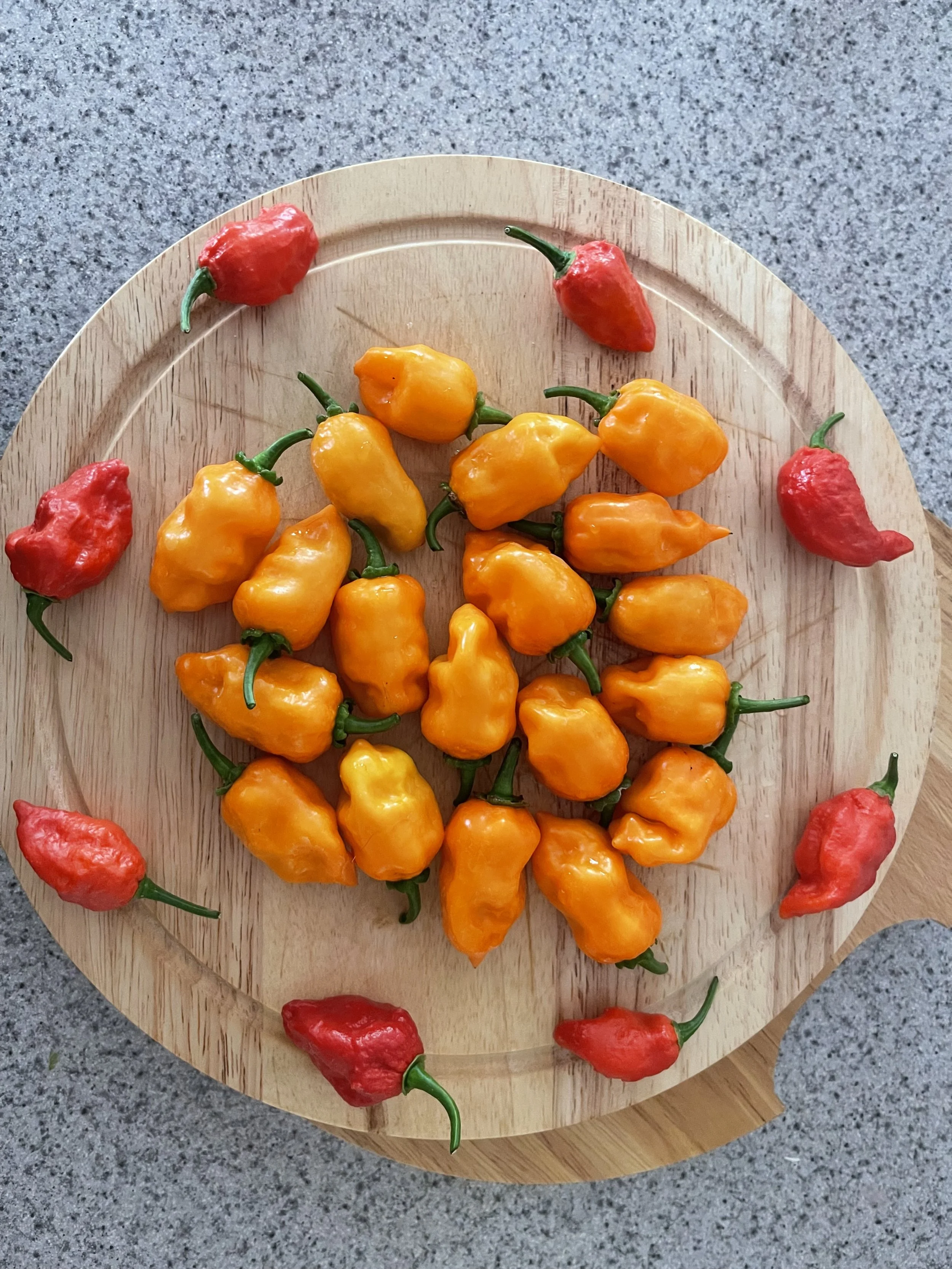 A round wooden cutting board with bright orange and red peppers on a gray surface.