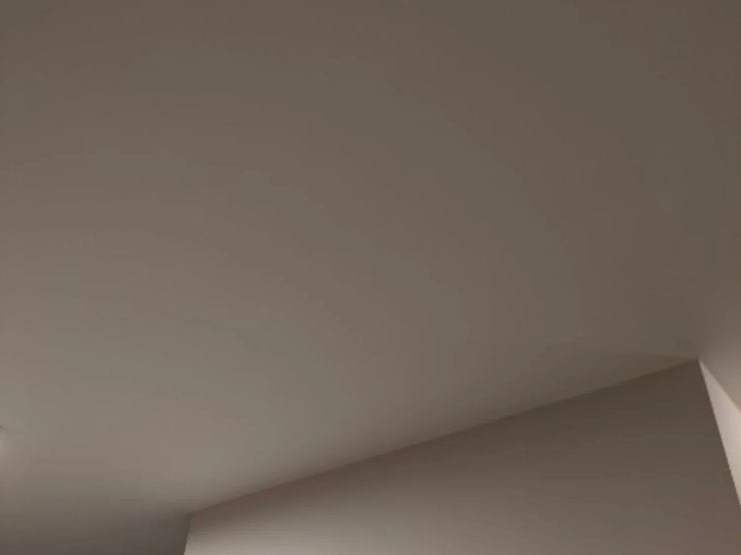 Before drywall repair