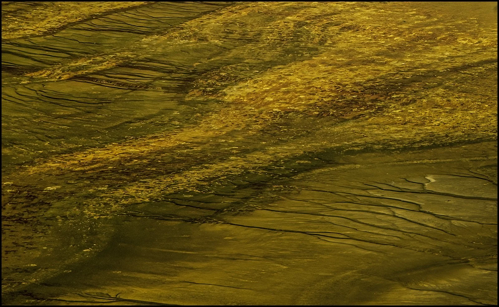 Gold in Yellowstone - Linda Medine