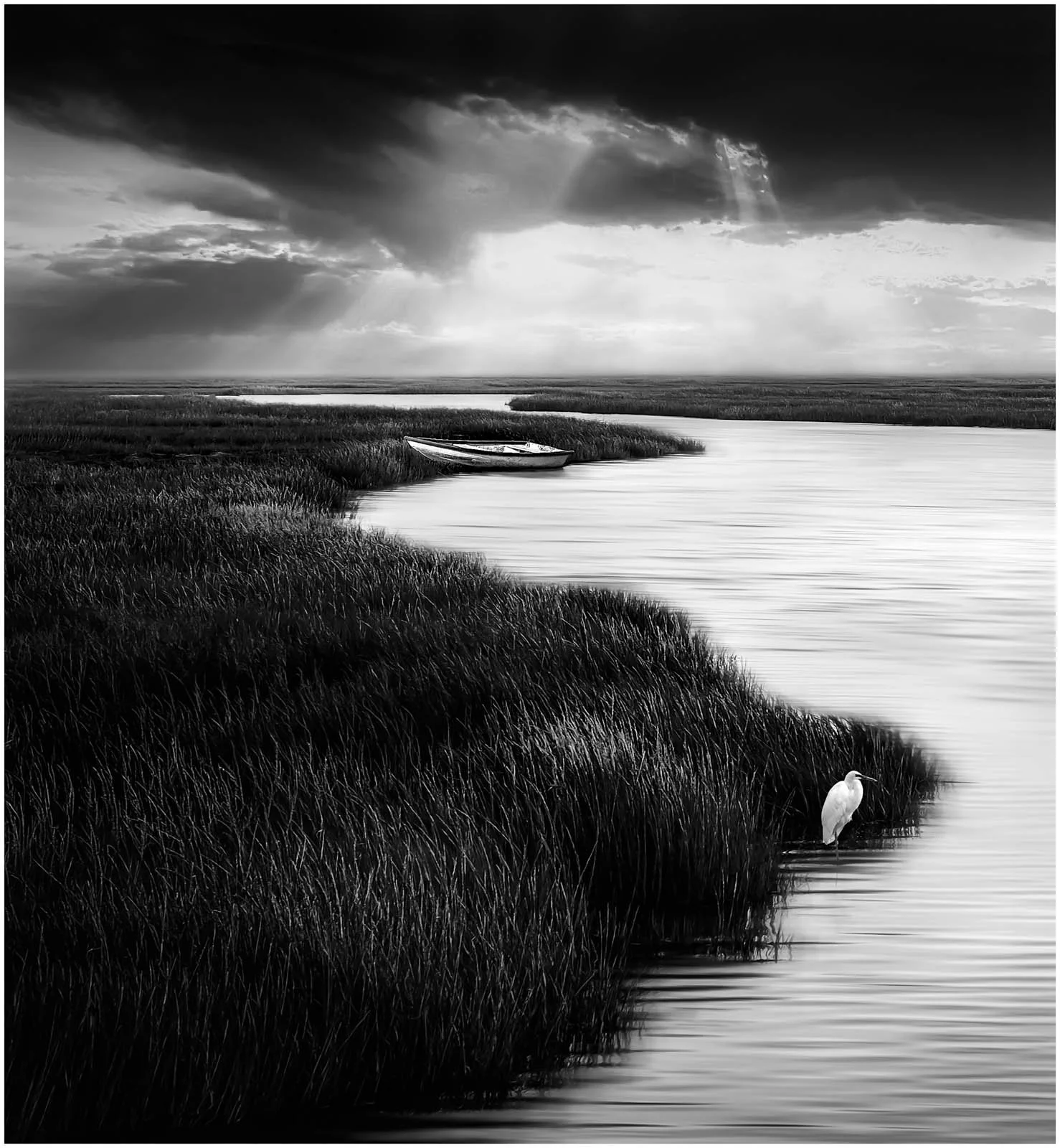 Swamp Dreams - Robin Stevens