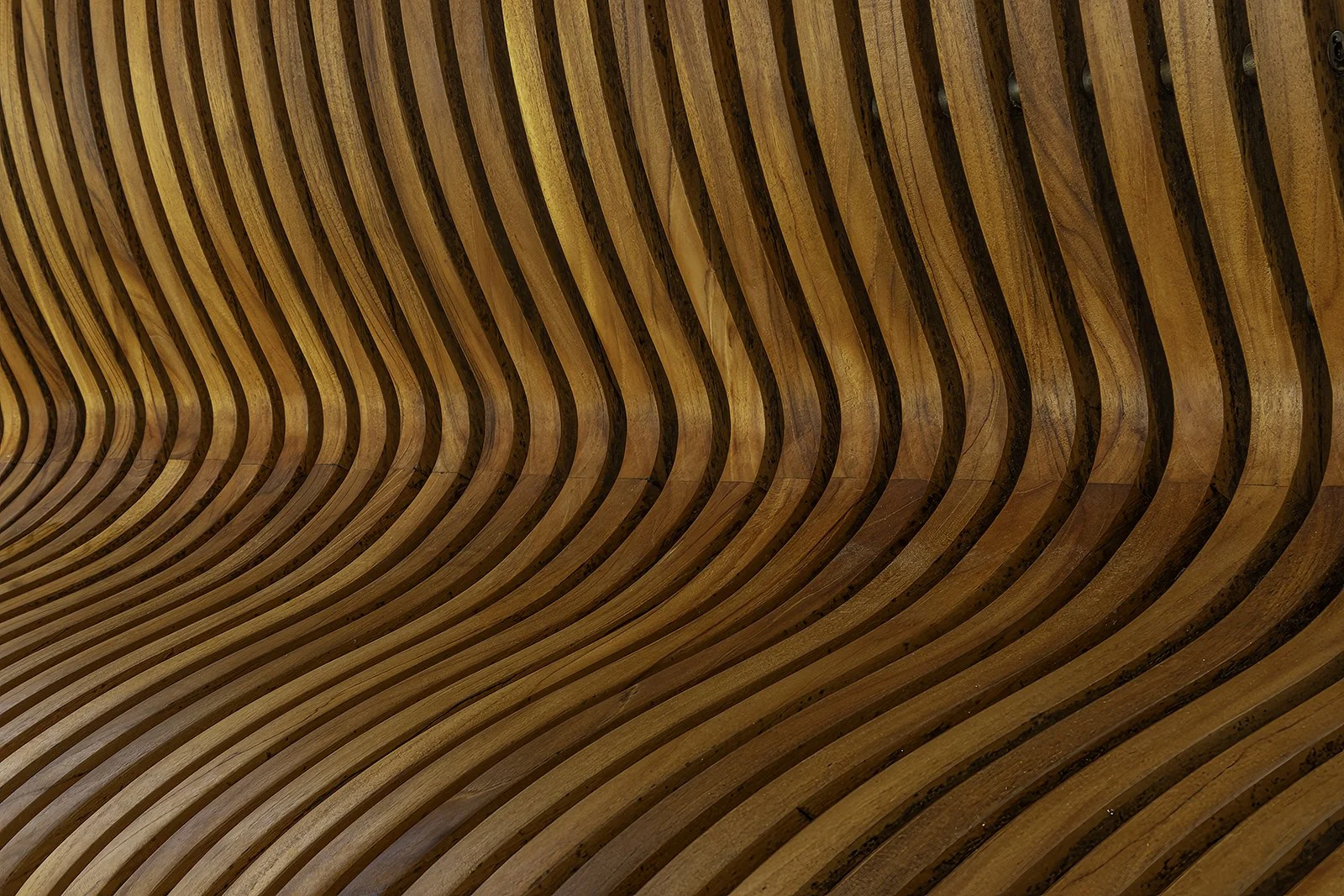 Curves - Frank Skowronski