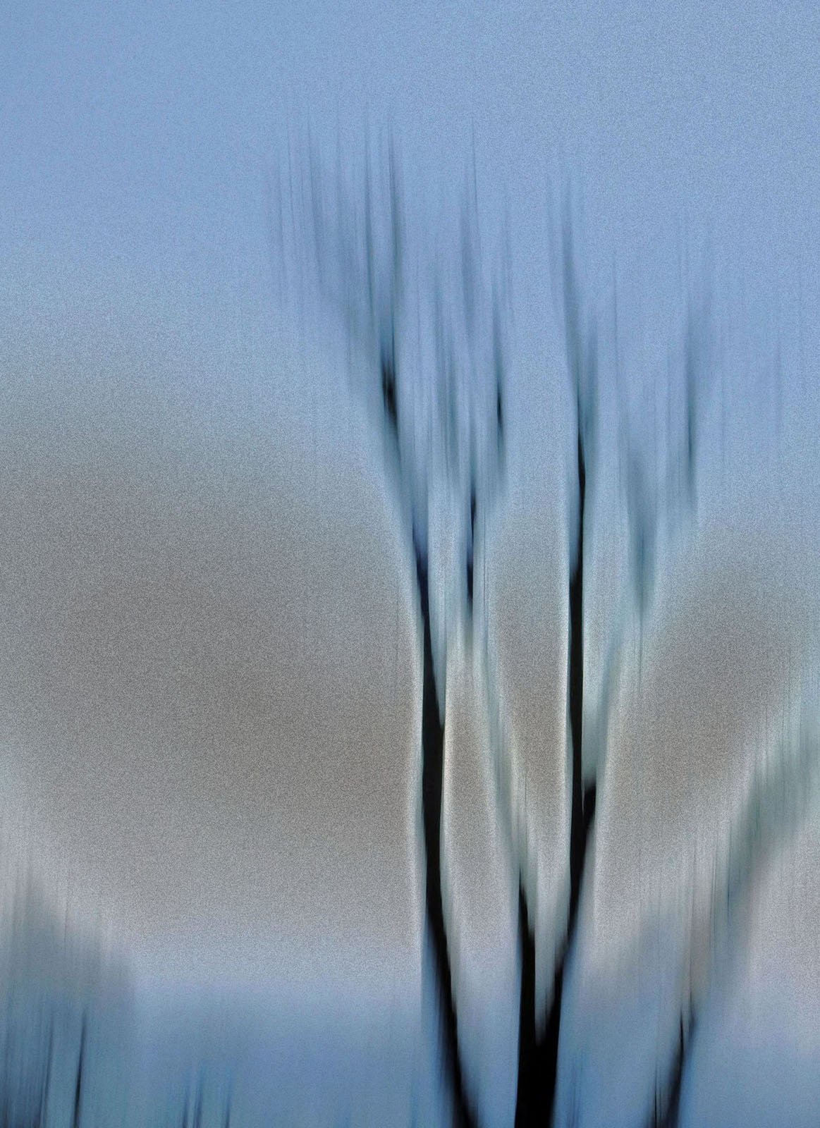 Soft Strokes - Elizabeth Niesuchouski