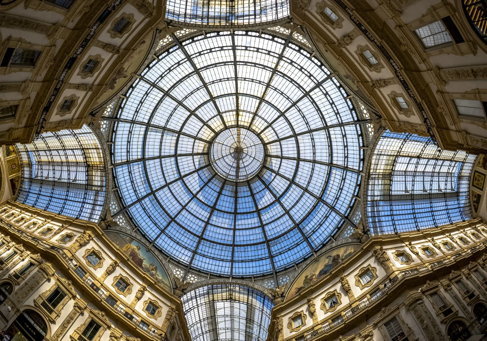 Galleria - David Surks