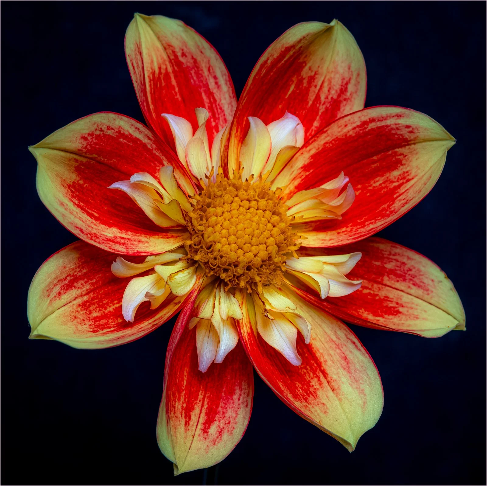 Natures Canvas - Wendy Milligan