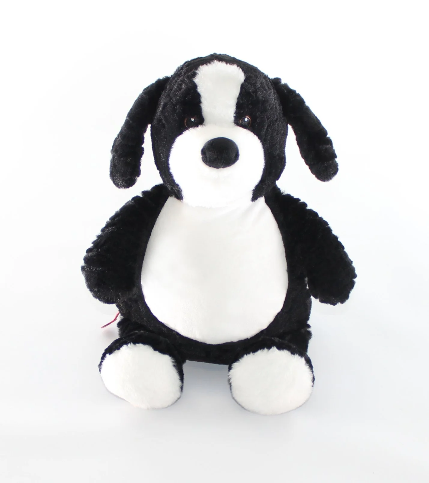 Border Collie.jpg (Copy)