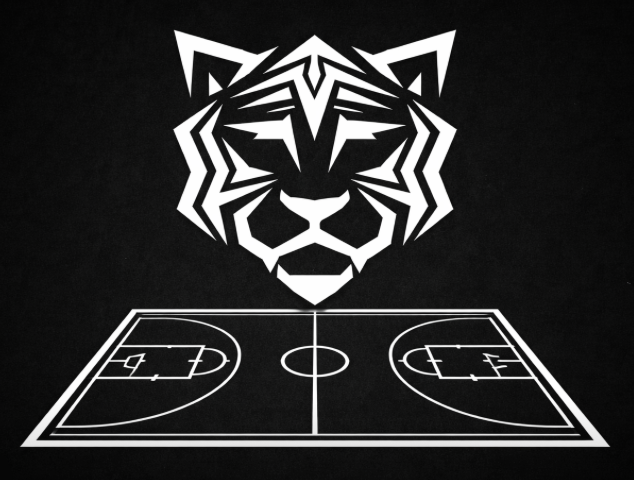 Basketball Athletic Development Program