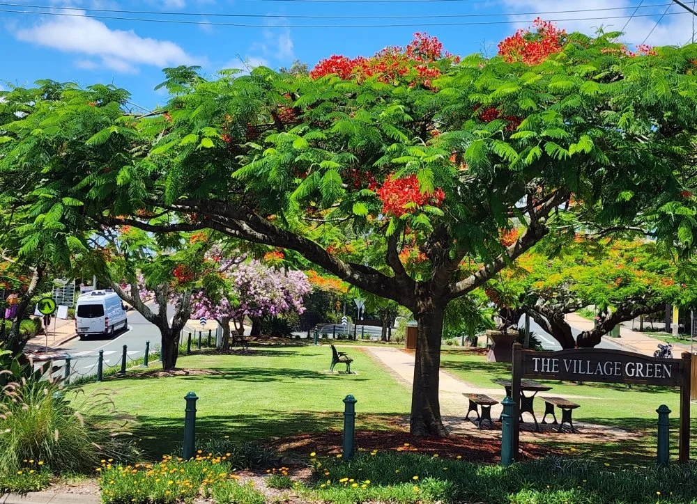 A park with lush green trees, flowering plants, a bench, and a sign that reads 'The Village Green'. There are cars and a street in the background.