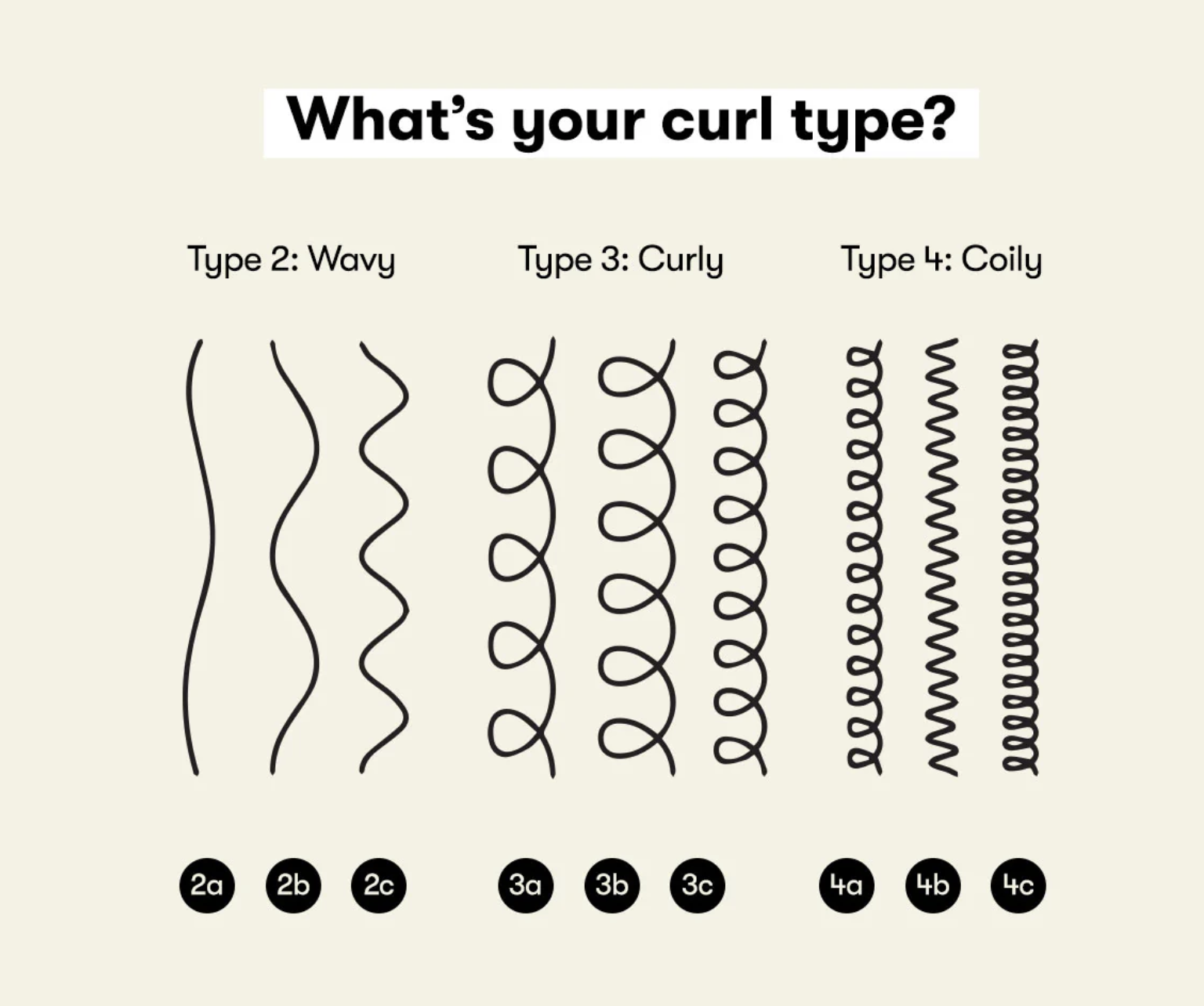 Curl type chart showing wavy, curly, and coily hair patterns