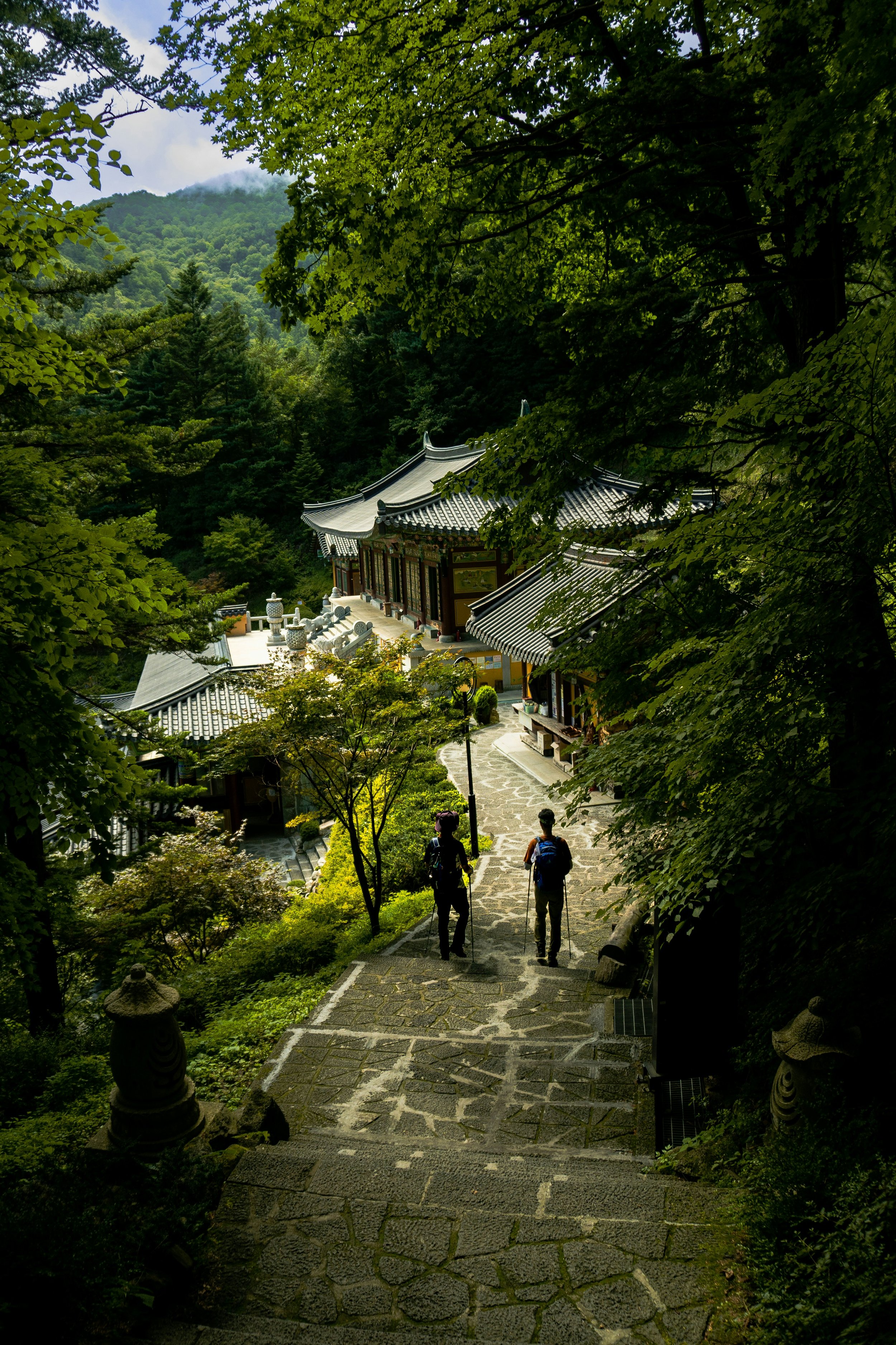HeyDale. Two hikers carrying walking sticks walk down a stone path surrounded by lush green trees towards traditional Asian temple buildings in a mountainous forest setting.