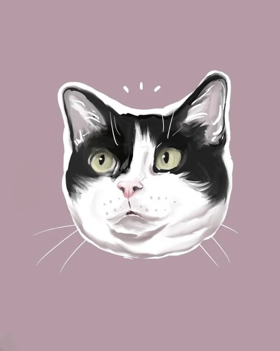 Shaunceycat1.jpg