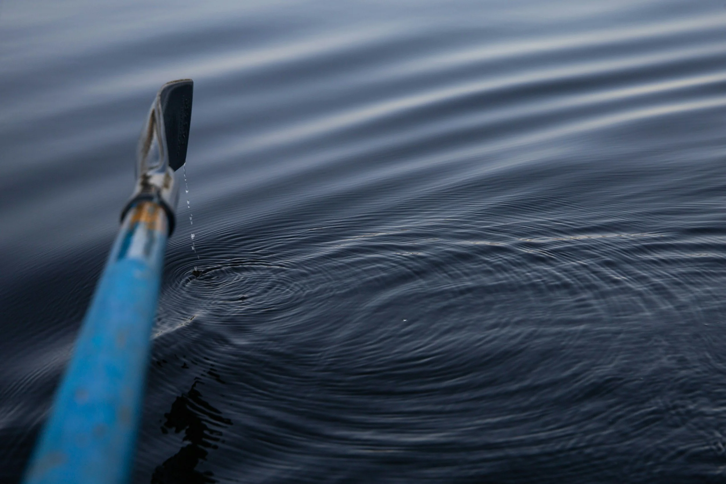 WHY WE ROW 私たちは、なぜ漕ぐのか