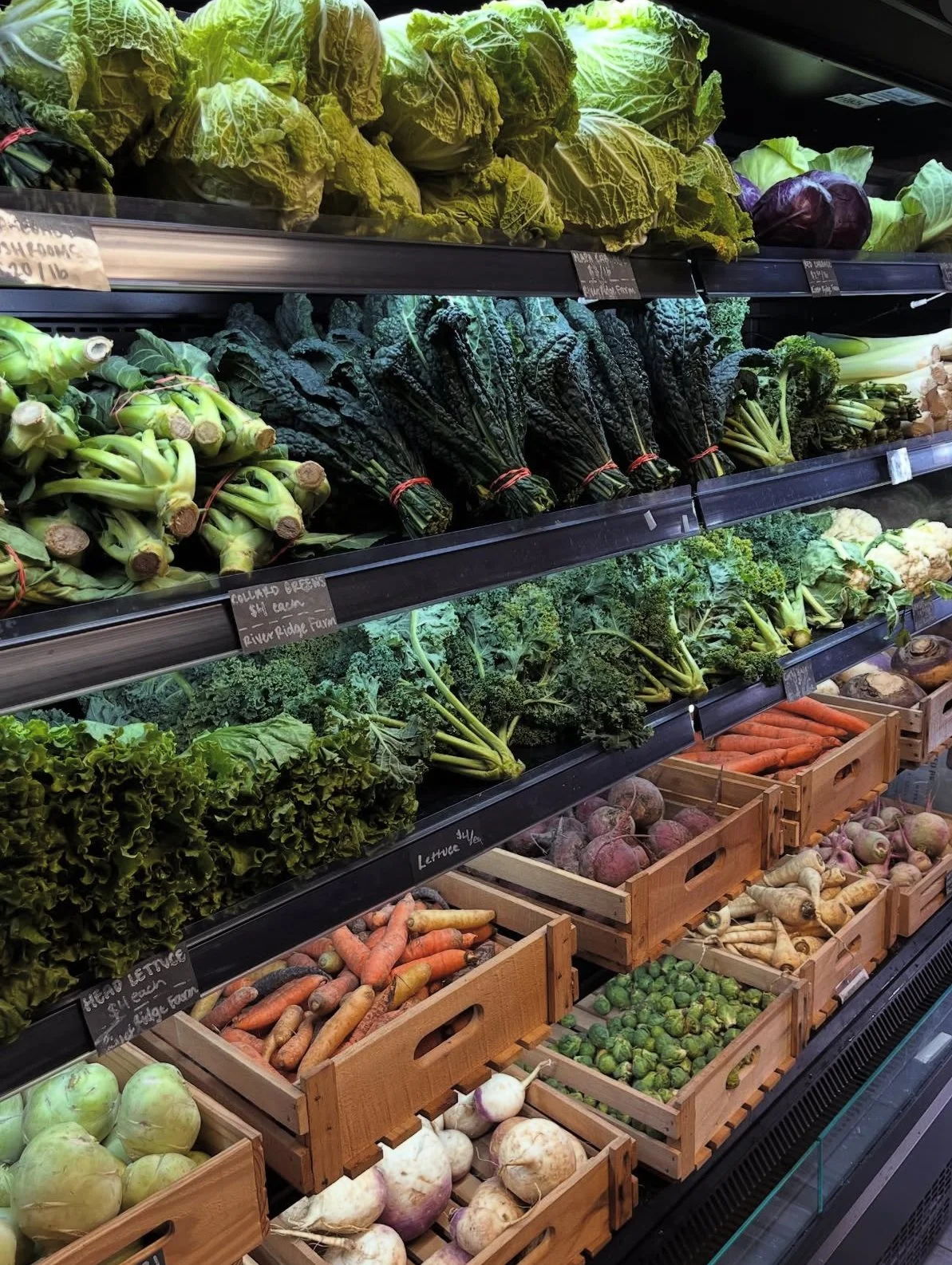Fresh vegetables including lettuce, kale, brussels sprouts, carrots, beets, onions, and turnips displayed in a grocery store.
