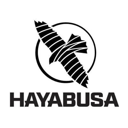 Logo featuring a stylized black and white feathered arrow inside a circle with the text 'HAYABUSA' below.