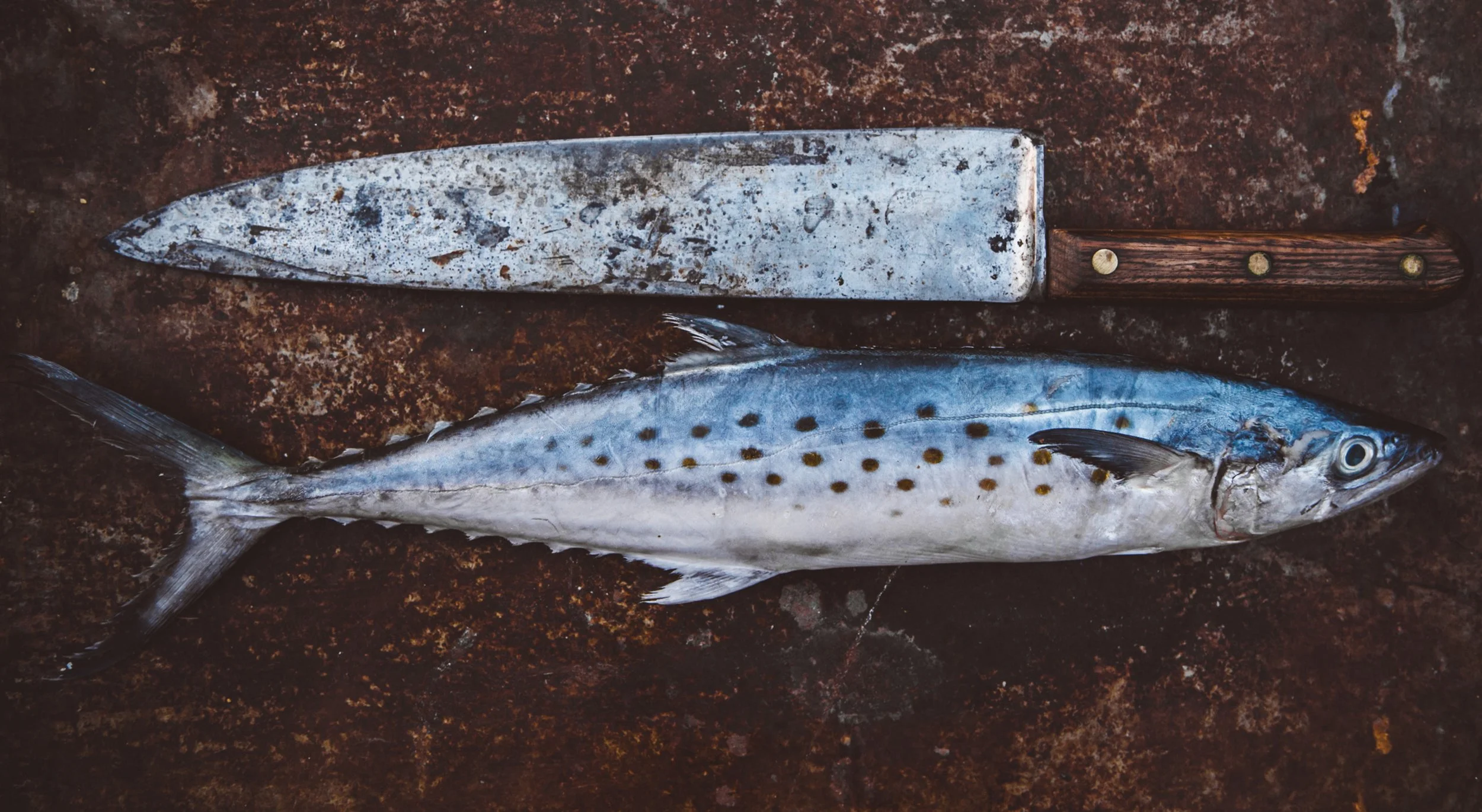 BIG FISH + KNIFE.jpg