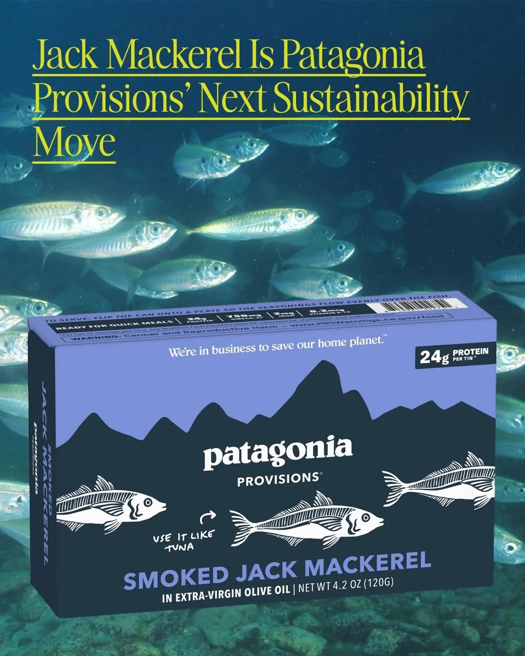 This week, Patagonia Provisions announced the newest addition to its tinned fish line: Smoked Jack Mackerel.

The replacement took nearly a year to source and develop &mdash; a measured process that underscores the company&rsquo;s commitment to respo