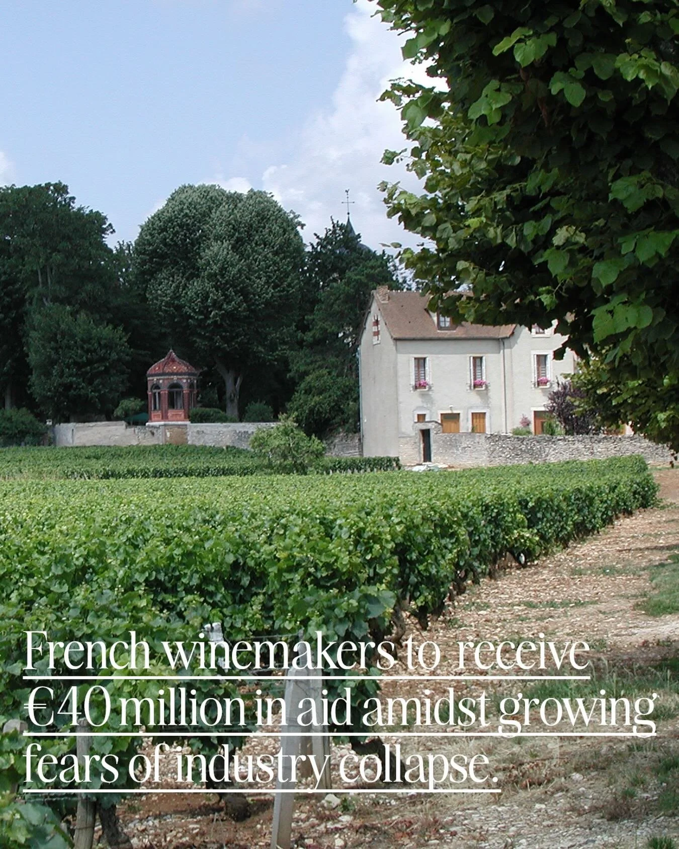 The EU will provide 40 million euros in aid to French winemakers amidst rising US tariffs and decreasing consumer demand. The wine industry in France has lost 8% of export value in the last year, a dramatic fall unheard of in recent times. 

The EU C
