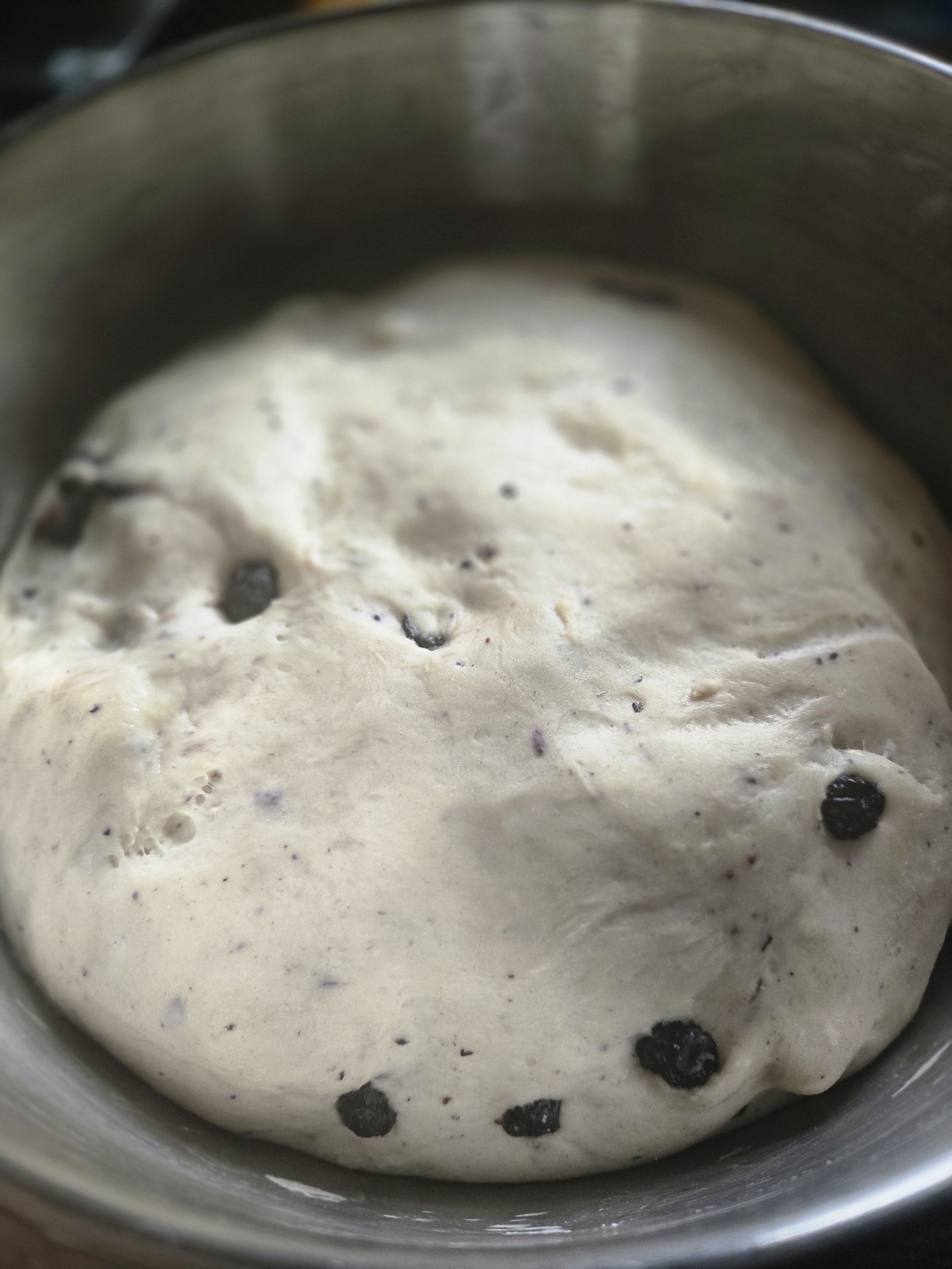 Rising bread dough with blueberries in a metal bowl.