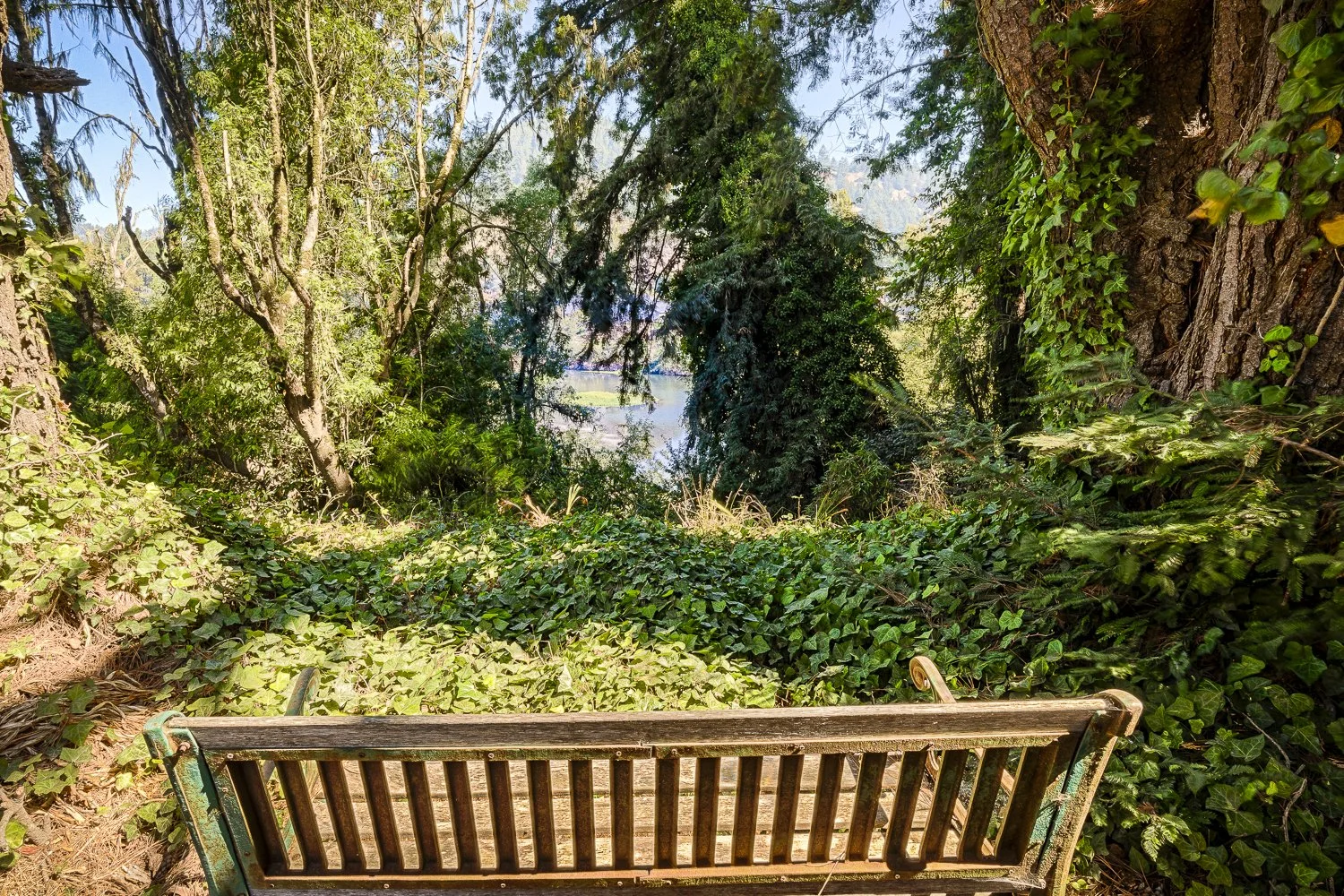 View along the riverfront