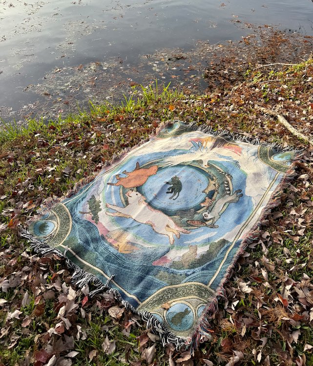 Full blanket laid on the grass beside a lake