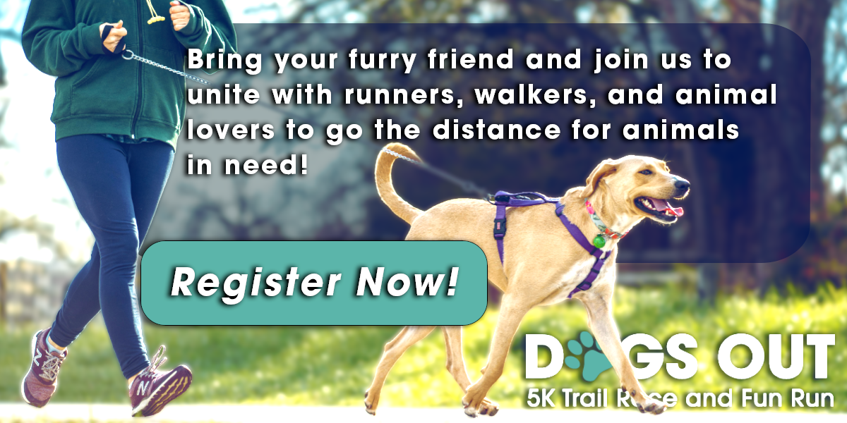 Dogs_Out_Race_Display_Concept.png