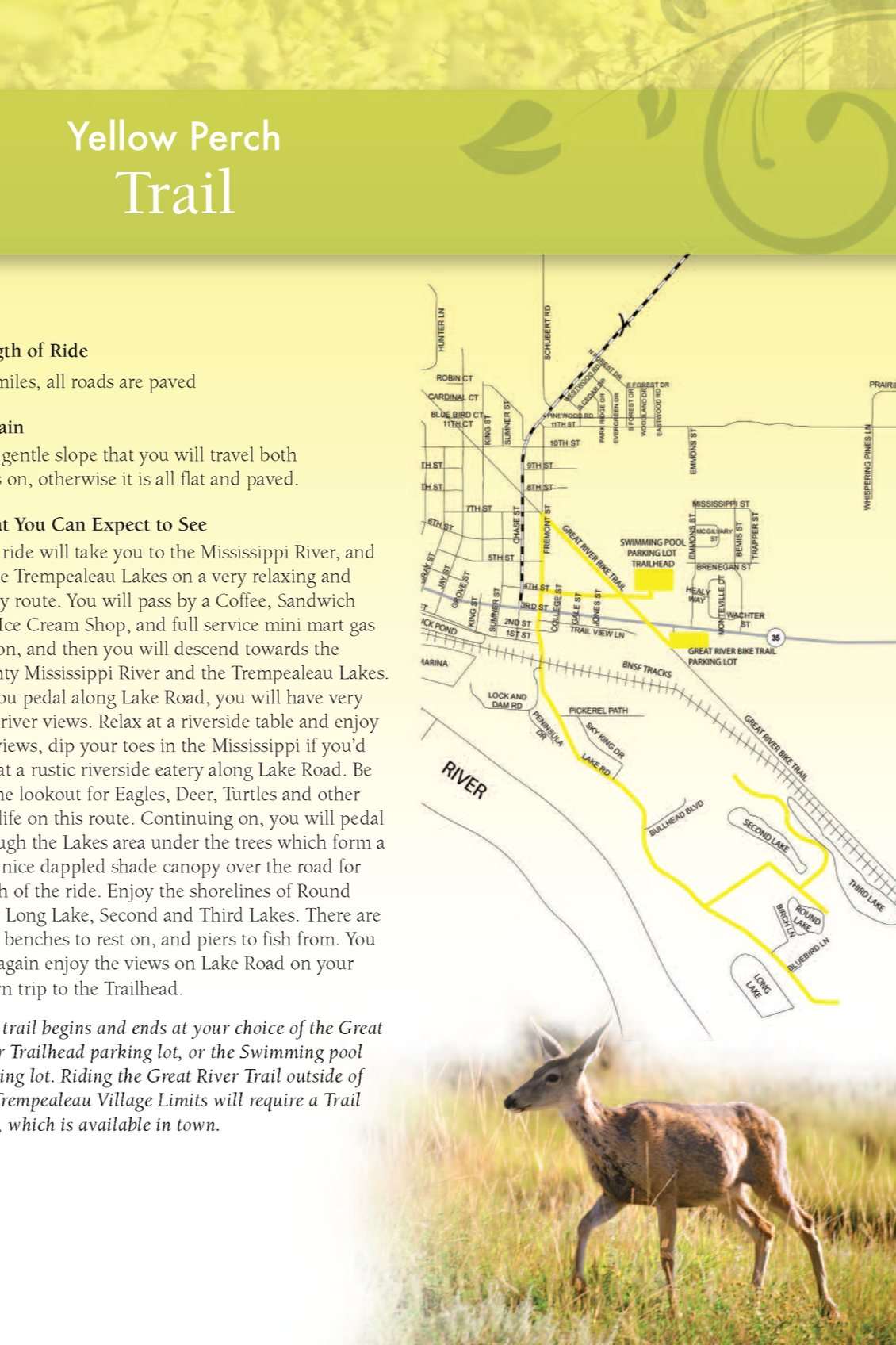 Map and informational sign for Yellow Perch Trail, featuring a trail map with marked paths, a description of the trail route, and a photo of a deer in a grassy field.