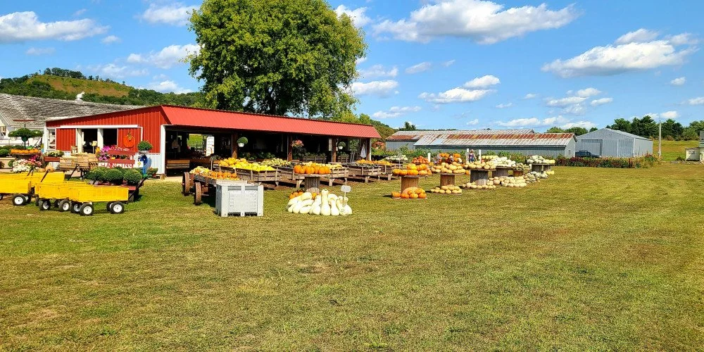 Schwertel Family Farms