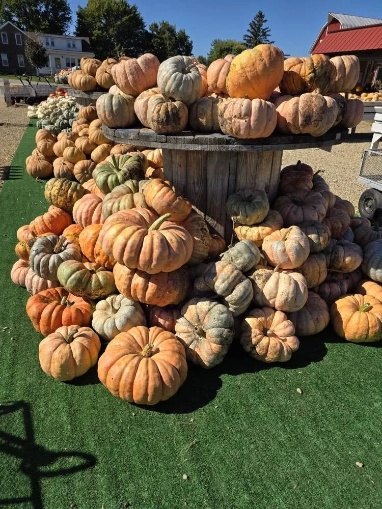 The Eagle Eye: Five fun fall activities