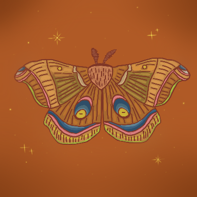 IMG_1294.png