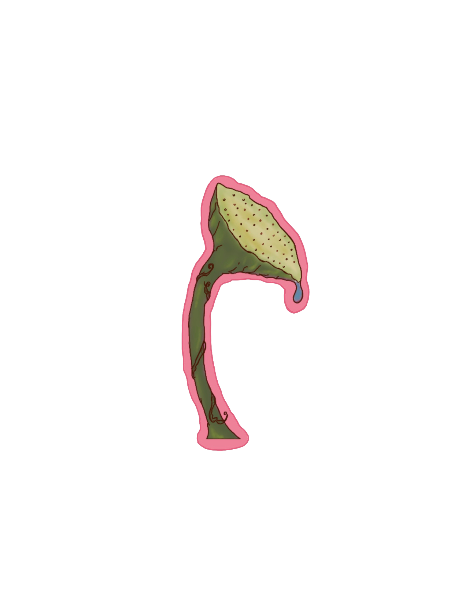 Senior Show Promo (5).png