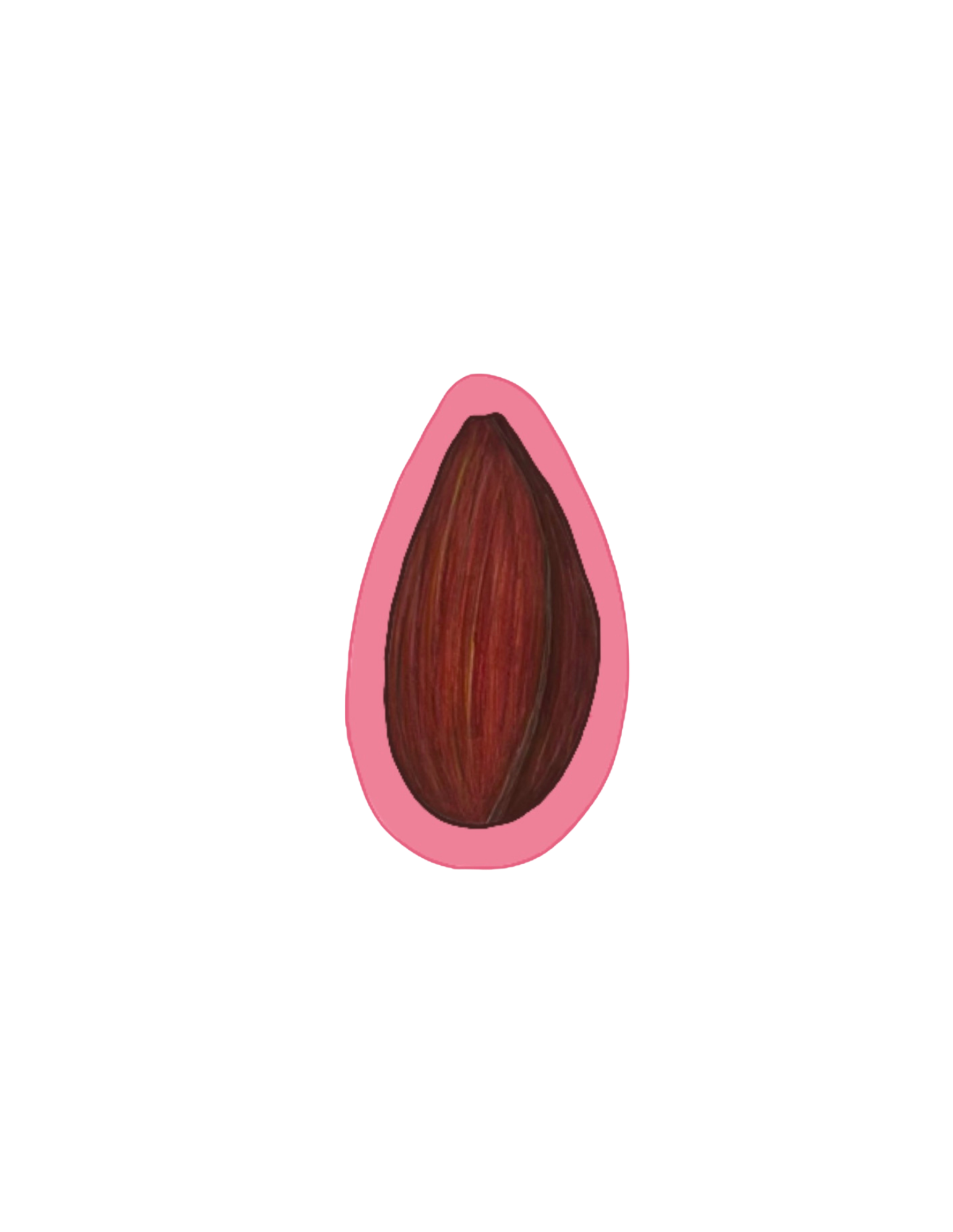 The Still Blooming Set