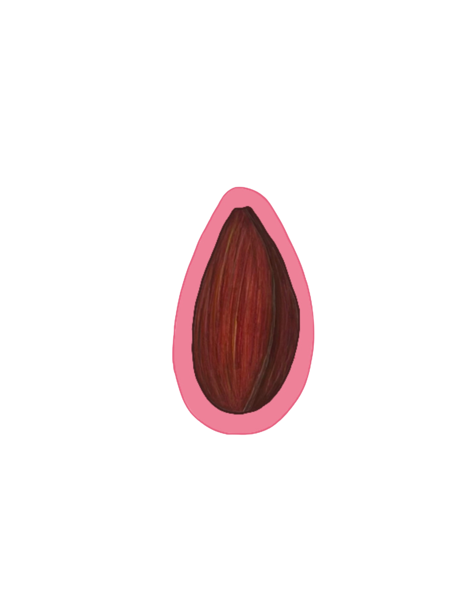 Senior Show Promo.png