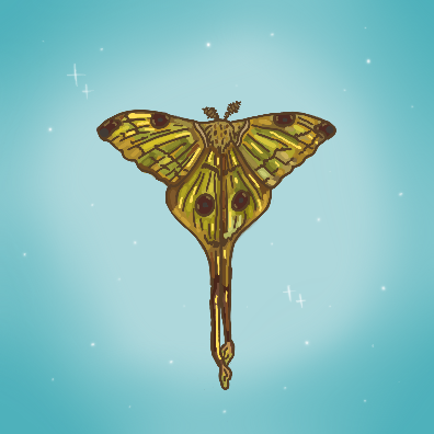 IMG_1297.png