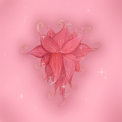 IMG_1269.png