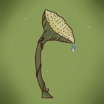 IMG_1280.png