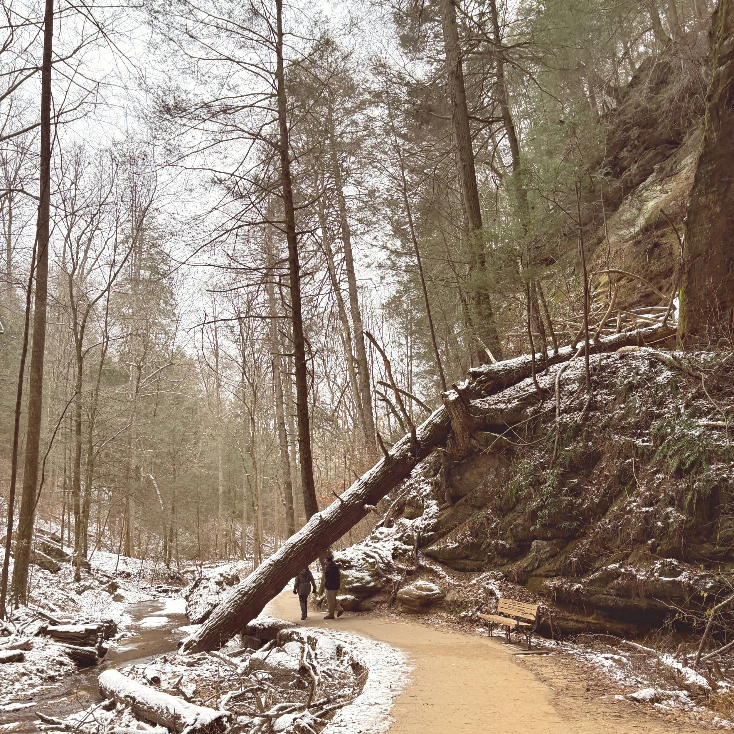 Welcome, Little Butch