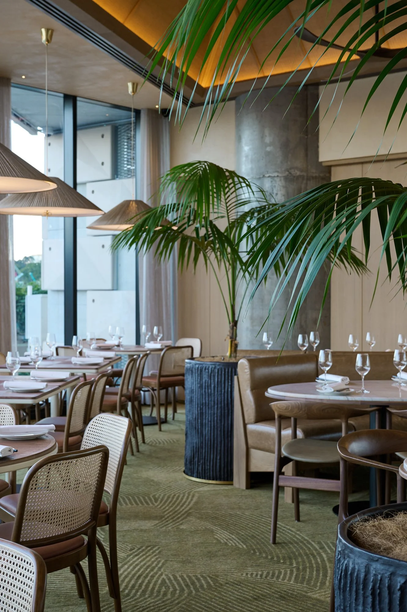 Supernormal Brisbane