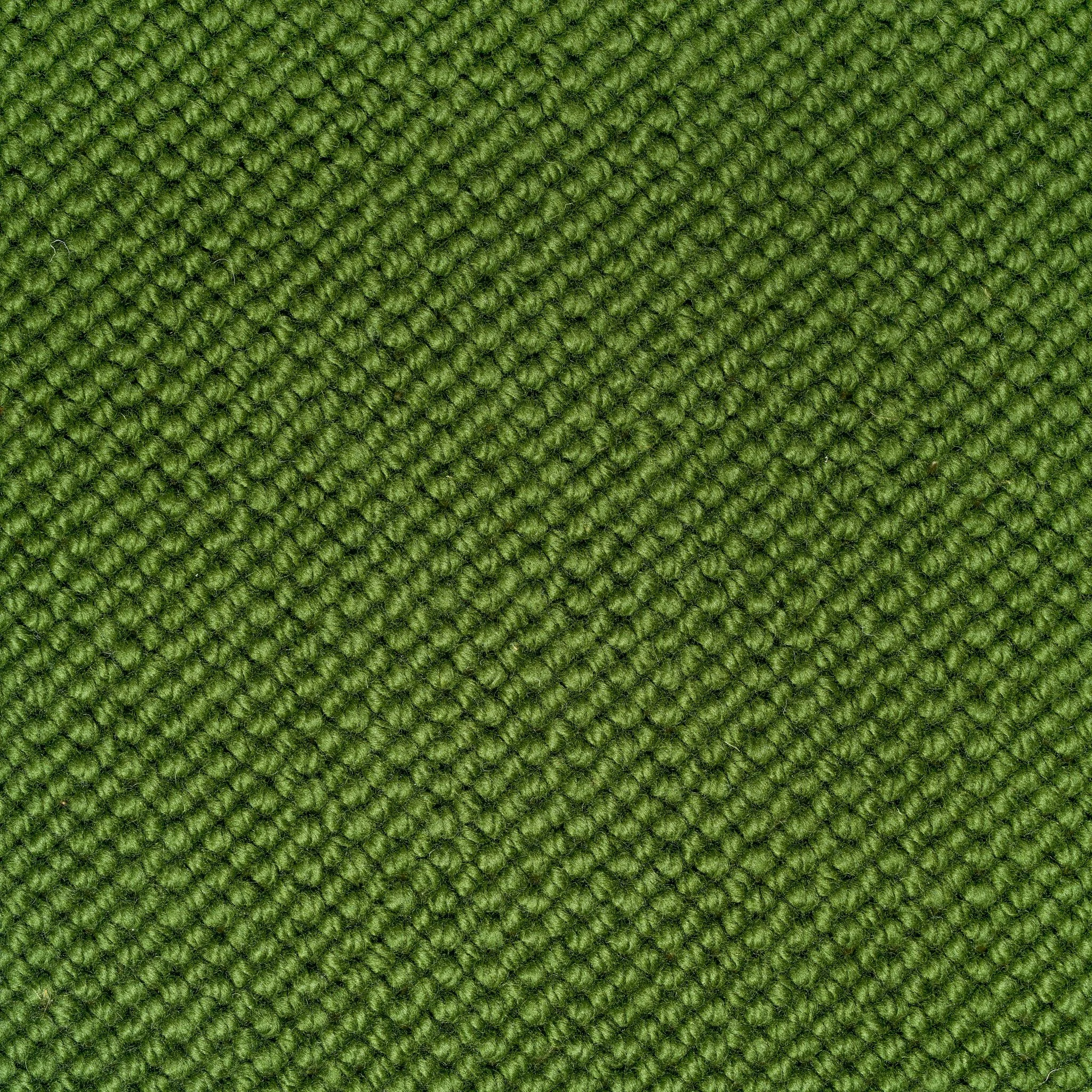 FyberGroup-0024-Forest.jpg