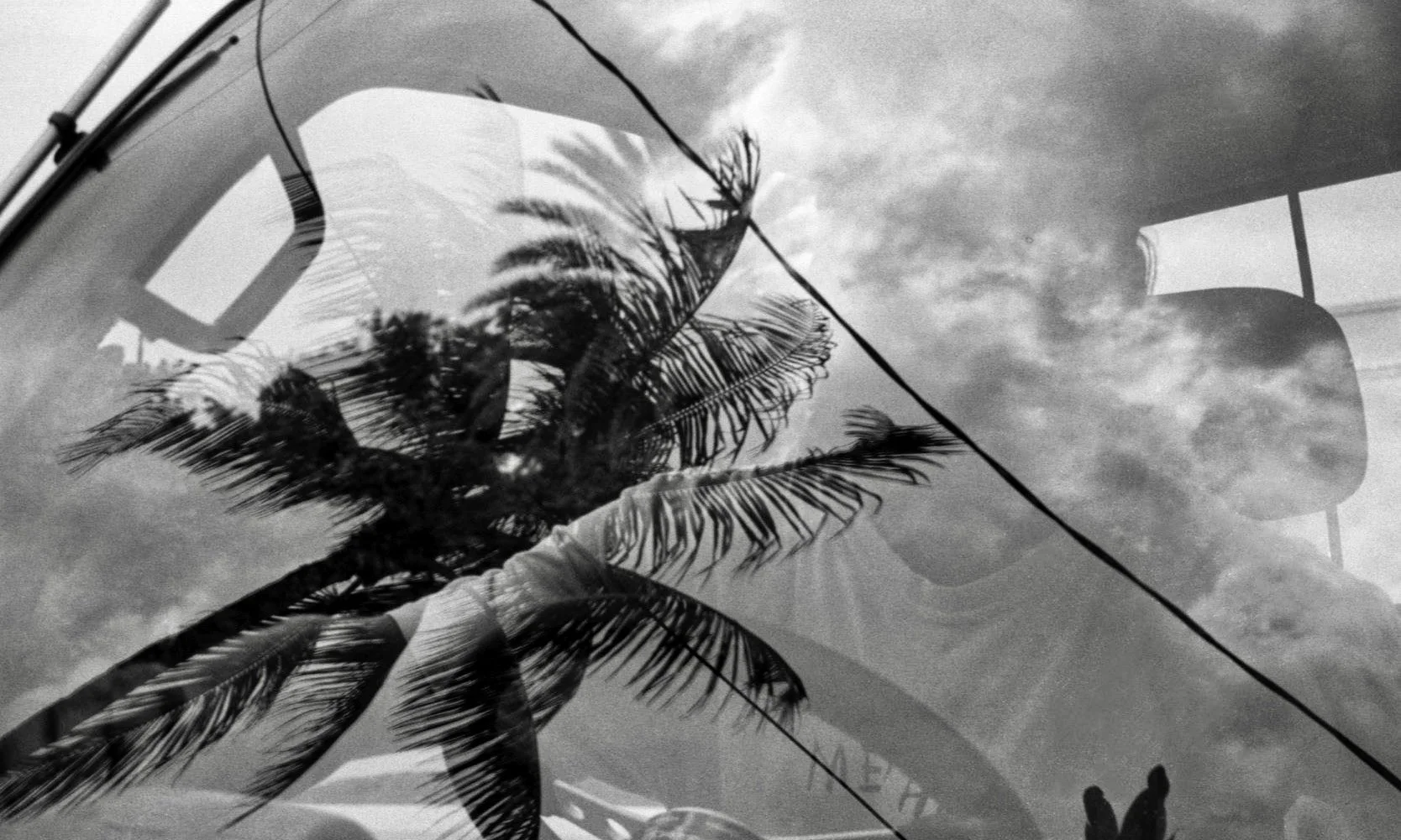 Reflection of a palm tree and sky with clouds seen through a glass window, with some objects and a person silhouette visible inside.