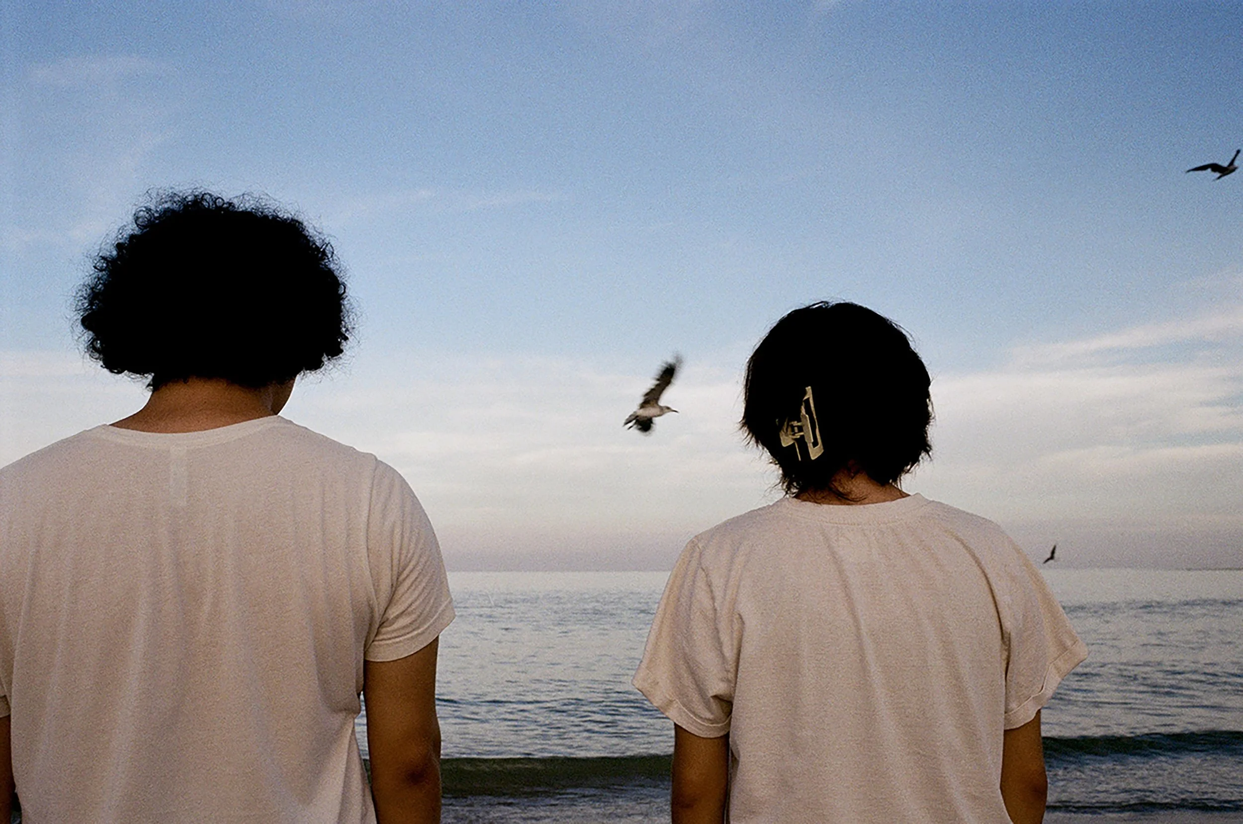Two women stand facing the ocean on a beach, with seagulls flying in the sky.