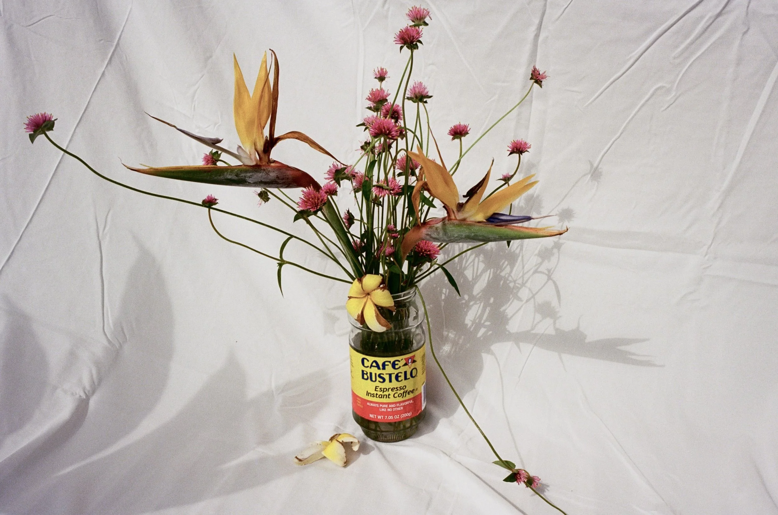A glass jar with a 'Café Bustelo' label contains a bouquet of flowers, including pink daisies, yellow plumerias, and large orange and purple birds-of-paradise, against a white, crinkled backdrop.