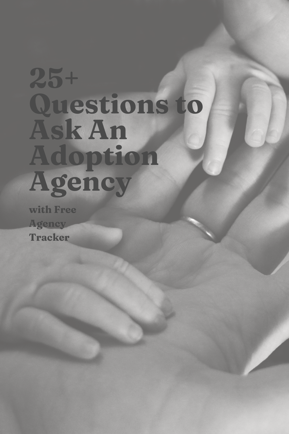25+ Questions to Ask An Adoption Agency 
