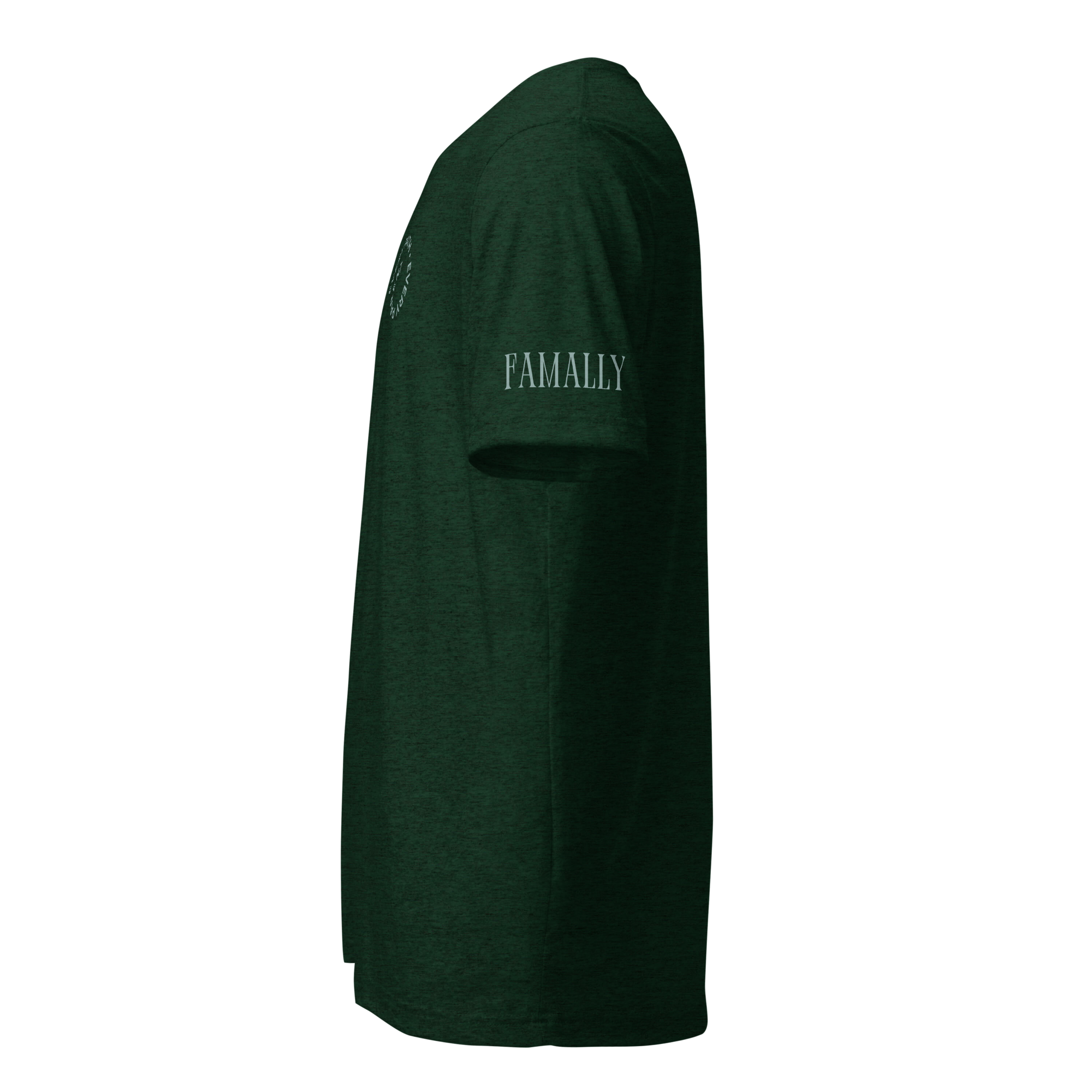 unisex-tri-blend-t-shirt-emerald-triblend-left-6abc3d6f3a823.png