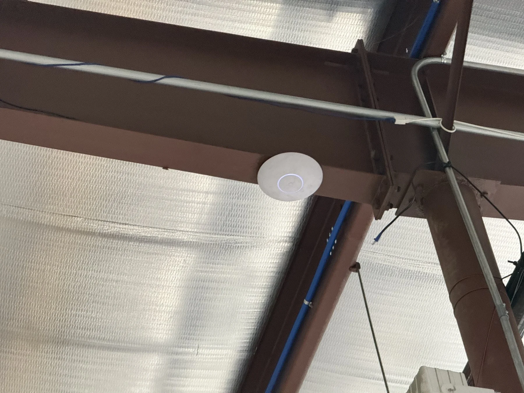 UniFi wireless access point mounted on a beam in a Bold City manufacturing network project