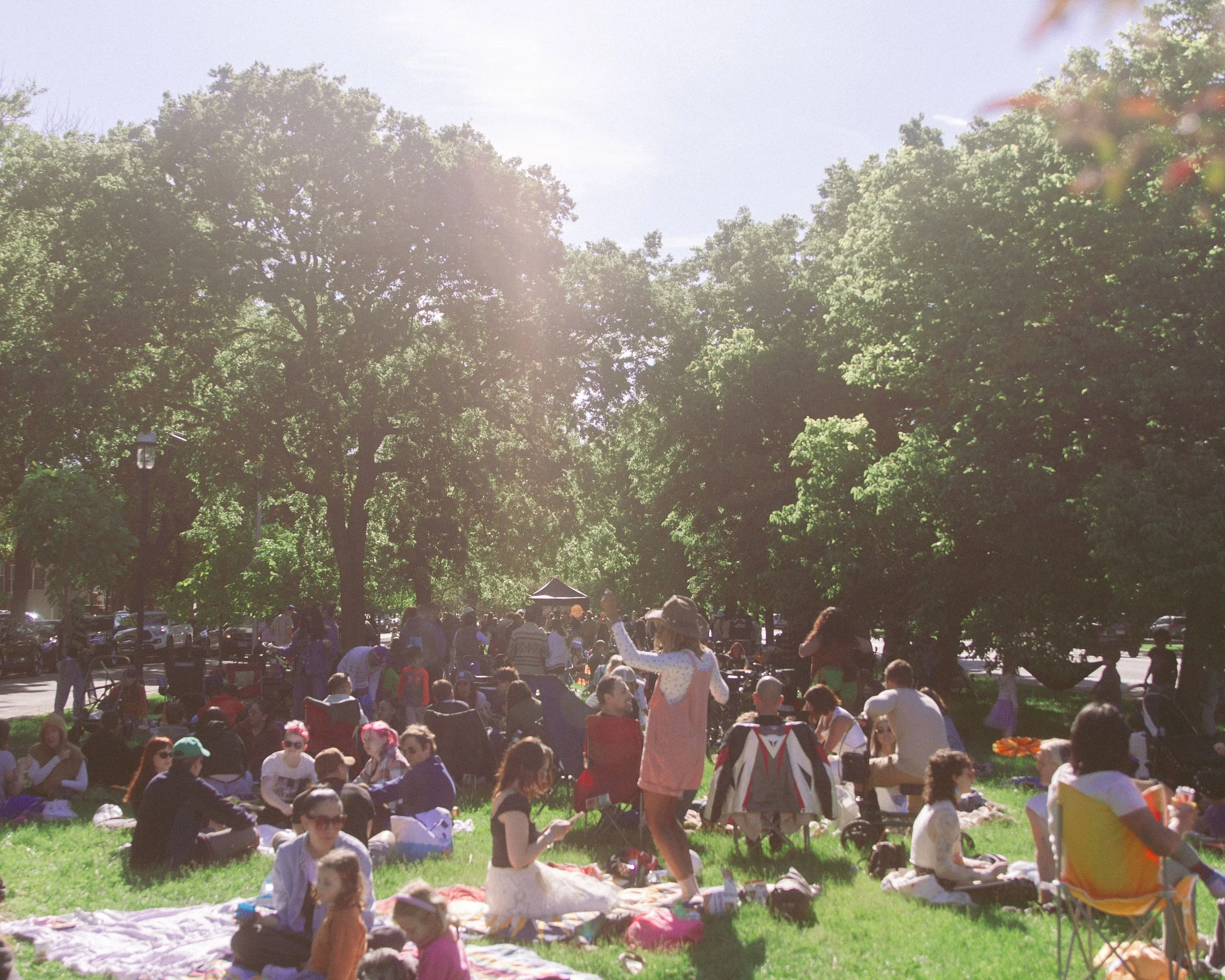 A large outdoor gathering in a park with numerous people sitting and walking around, trees in the background, and sunlight filtering through the leaves.