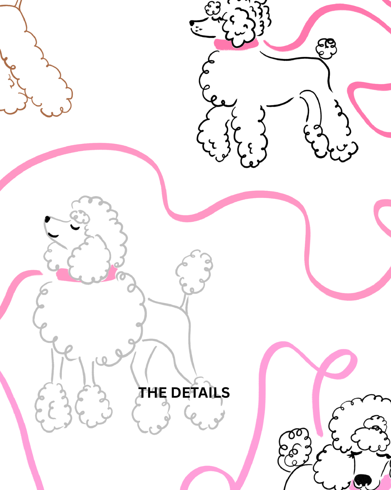PINK POODLE DETAILS.png